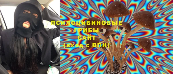 PSILOCYBIN Струнино