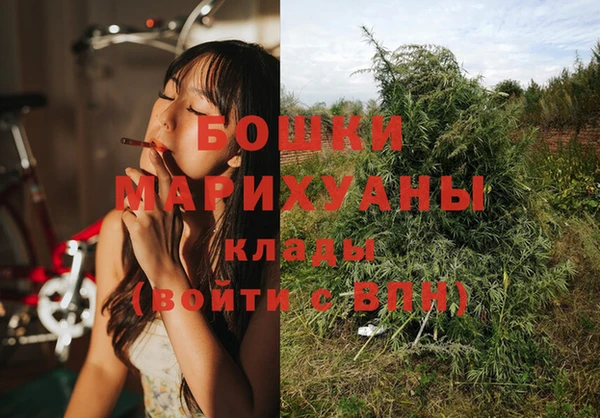 прущий лед Бронницы