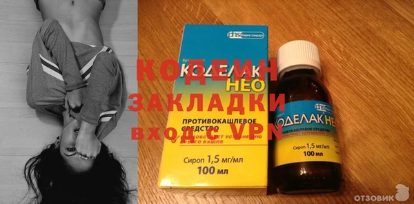 шишки Богородицк