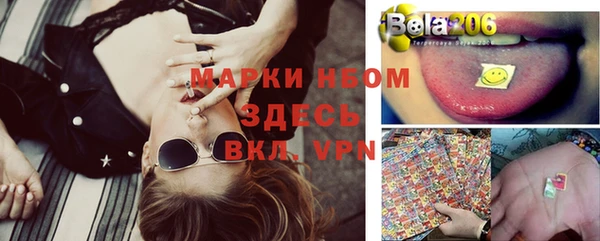 твердый Верея