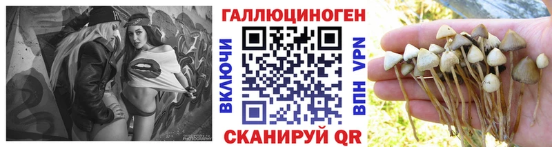 мега зеркало  Ейск  Галлюциногенные грибы GOLDEN TEACHER 